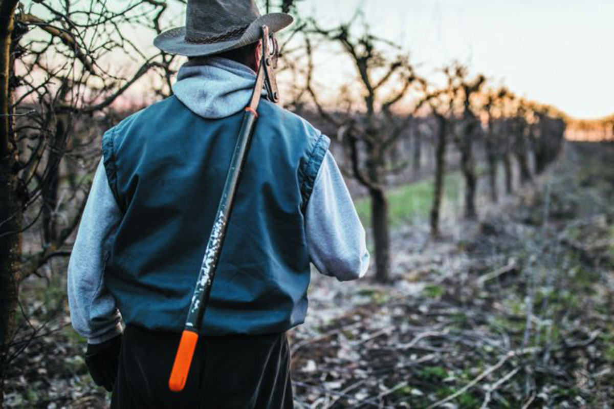 From Fields to Frontlines