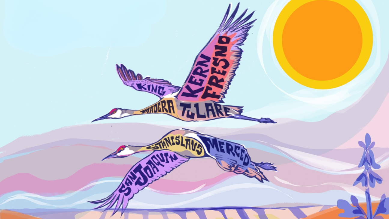 Valley Watch Network